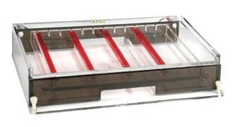Owl* A3-1 Wide Gel Horizontal Electrophoresis Systems from Thermo Fisher Scientific