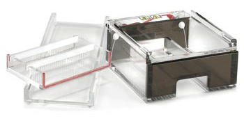Owl* D2 Wide Gel Horizontal Electrophoresis Systems from Thermo Fisher Scientific