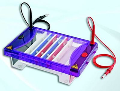 SCILOGEX* multiSUB Choice Gel Horizontal Electrophoresis Boxes from Scilogex, LLC.