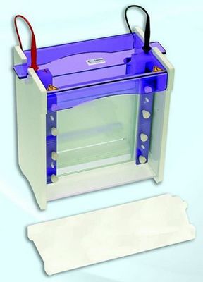 SCILOGEX* omniPAGE Maxi Gel Vertical Electrophoresis Systems from Scilogex, LLC.