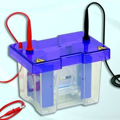 SCILOGEX* omniPAGE Mini Gel Vertical Electrophoresis Systems from Scilogex, LLC.