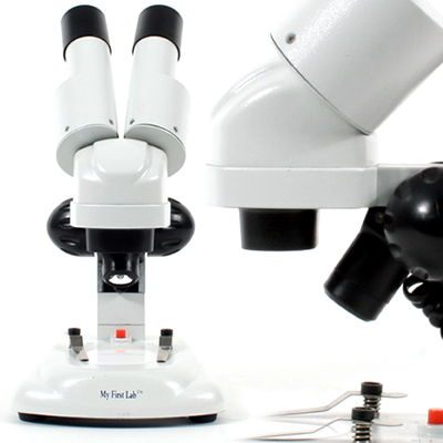 My First Lab* i-explore Scope Stereo Microscopes